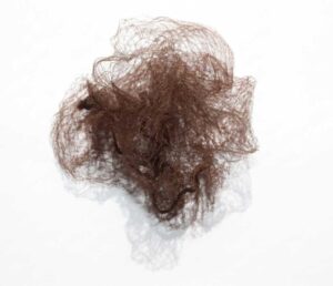 15d-nylon-ltbrown-invisible-hairnets-for-food-service-wholesal